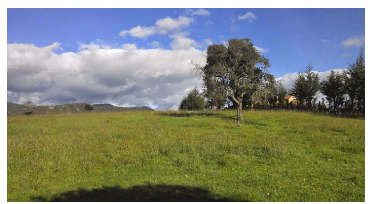 Lote en venta en San Jose De La Concepcion, La Calera, 10 m² · foto 9 de 12