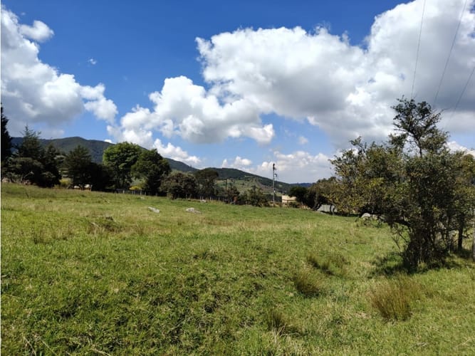 Lote en venta en Centro, La Calera, 37500 m² · foto 9 de 13