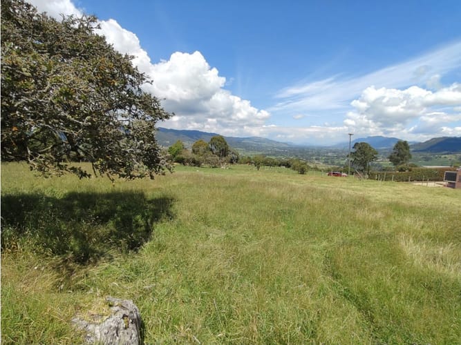 Lote en venta en Centro, La Calera, 37500 m² · foto 11 de 13