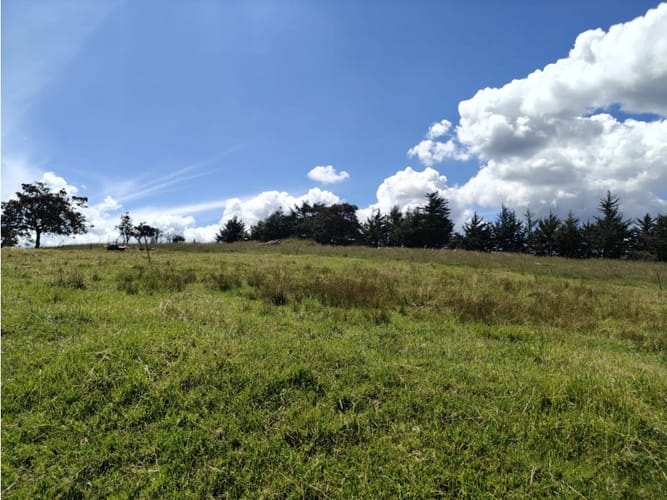 Lote en venta en Centro, La Calera, 37500 m² · foto 12 de 13