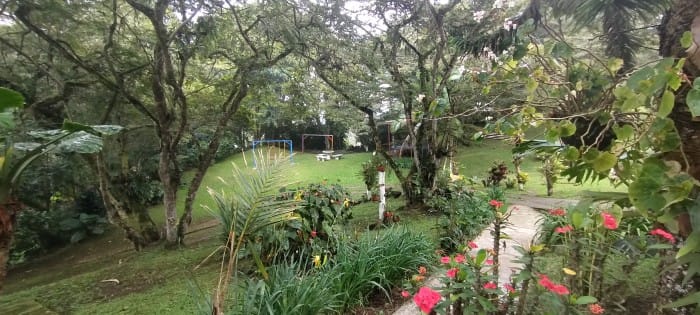 Finca en venta en El Saladito, Cali, 500 m² · foto 4 de 11