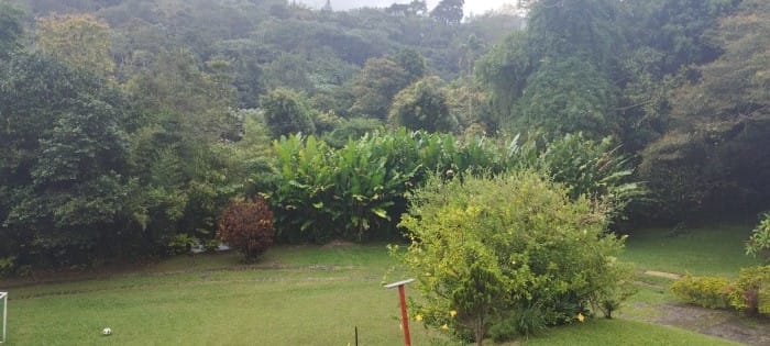 Finca en venta en El Saladito, Cali, 500 m² · foto 11 de 11