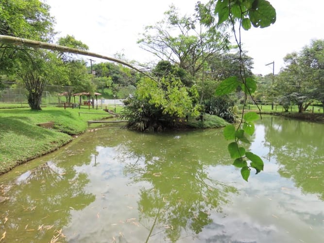 Lote en venta en Porerito, Jamundí, 1648 m² · foto 8 de 12
