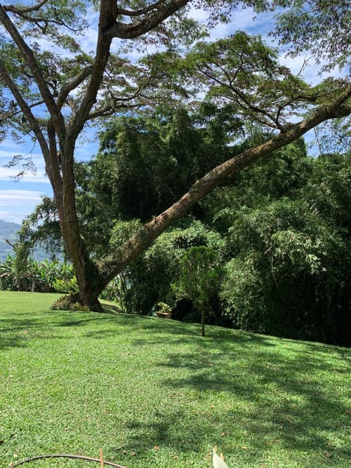 Finca en venta en Alto Aguacatal, Cali, 420 m² · foto 23 de 24