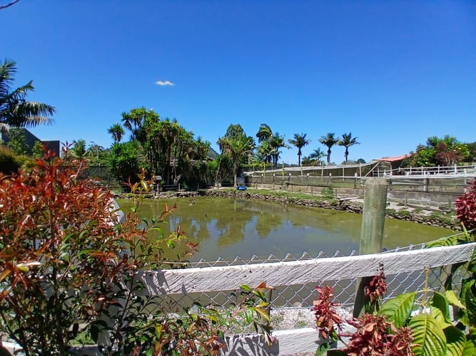 Casa de 3 alcobas en venta en Guamito, La Ceja, 700 m² · foto 21 de 24
