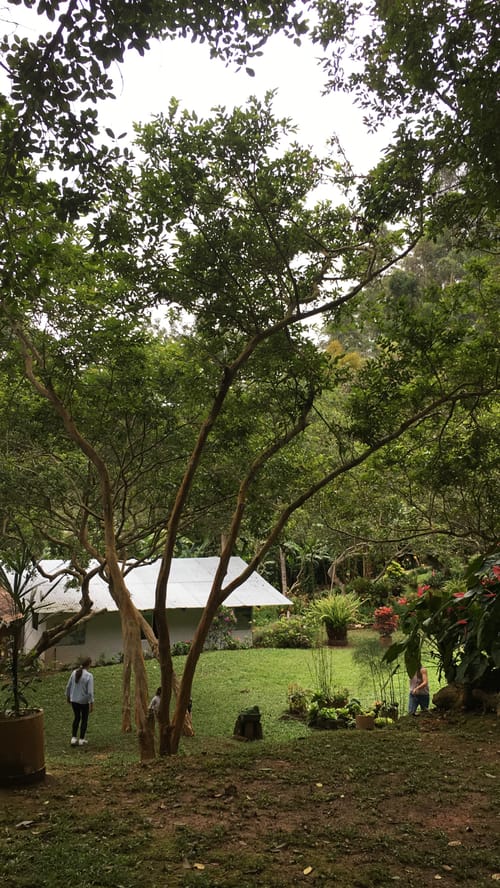 Lote en venta en La Elvira, Cali, 4000 m² · foto 3 de 10
