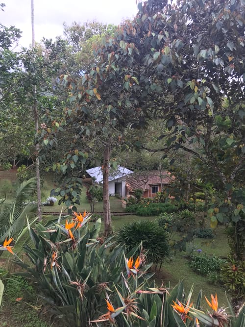 Lote en venta en La Elvira, Cali, 4000 m² · foto 5 de 10