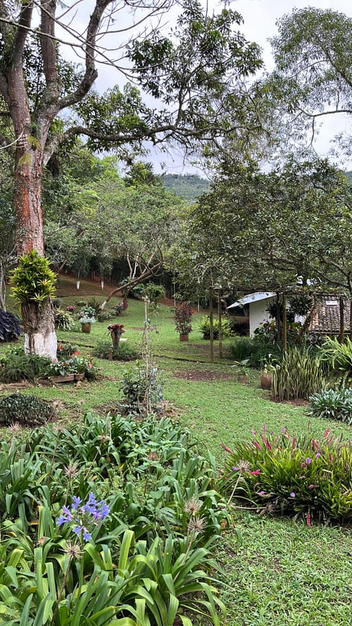 Lote en venta en La Elvira, Cali, 4000 m² · foto 6 de 10