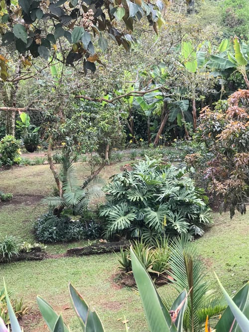 Lote en venta en La Elvira, Cali, 4000 m² · foto 7 de 10