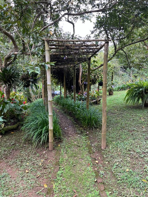 Lote en venta en La Elvira, Cali, 4000 m² · foto 9 de 10