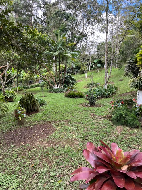 Lote en venta en La Elvira, Cali, 4000 m² · foto 10 de 10