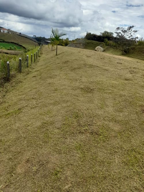 Lote en venta en Guarino, El Carmen de Viboral, 909 m² · foto 9 de 16