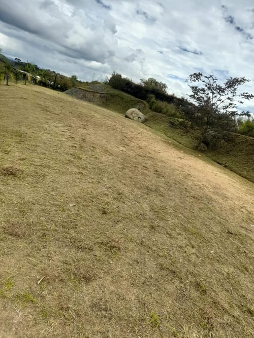Lote en venta en Guarino, El Carmen de Viboral, 909 m² · foto 14 de 16