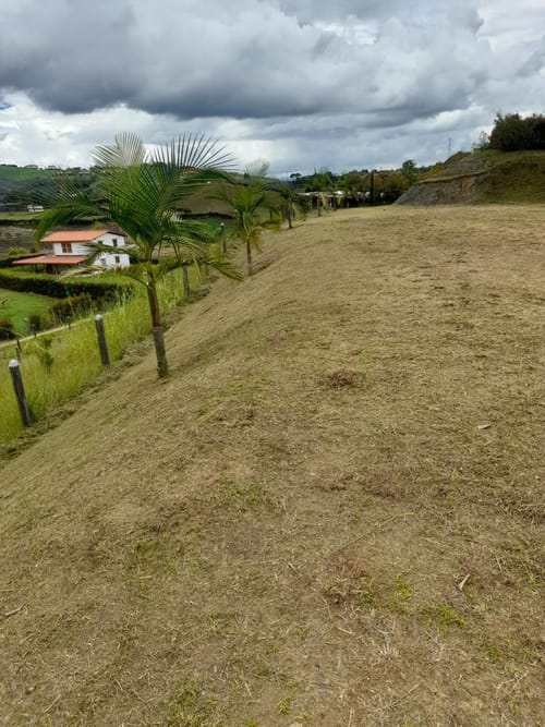 Lote en venta en Guarino, El Carmen de Viboral, 909 m² · foto 15 de 16
