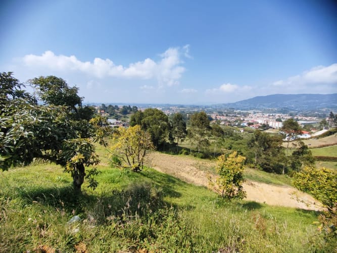 Lote en venta en El Carmen De Viboral, El Carmen de Viboral, 3200 m² · foto 6 de 21