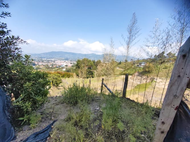 Lote en venta en El Carmen De Viboral, El Carmen de Viboral, 3200 m² · foto 8 de 21