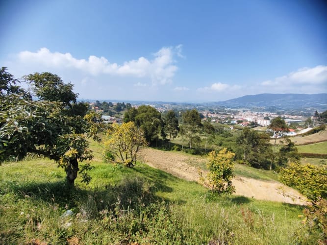 Lote en venta en El Carmen De Viboral, El Carmen de Viboral, 3200 m² · foto 9 de 21