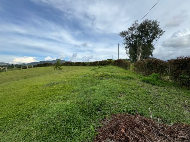 Lote en venta en El Carmen De Viboral, El Carmen de Viboral, 2133 m² · foto 7 de 12