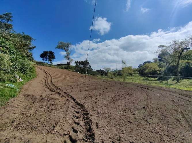 Finca en venta en Rivera, El Carmen de Viboral, 38000 m² · foto 3 de 16