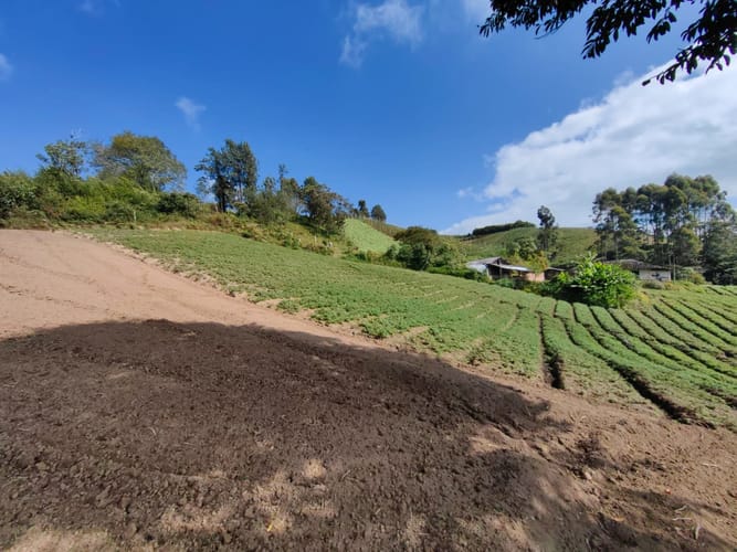 Finca en venta en Rivera, El Carmen de Viboral, 38000 m² · foto 5 de 16