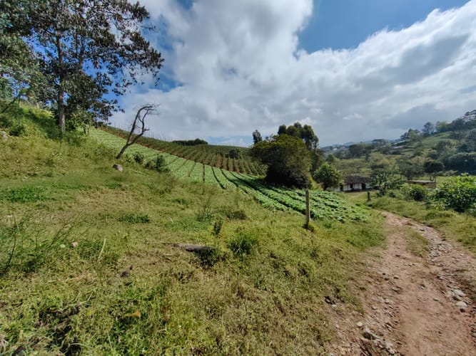 Finca en venta en Rivera, El Carmen de Viboral, 38000 m² · foto 7 de 16