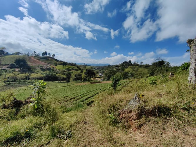 Finca en venta en Rivera, El Carmen de Viboral, 38000 m² · foto 9 de 16