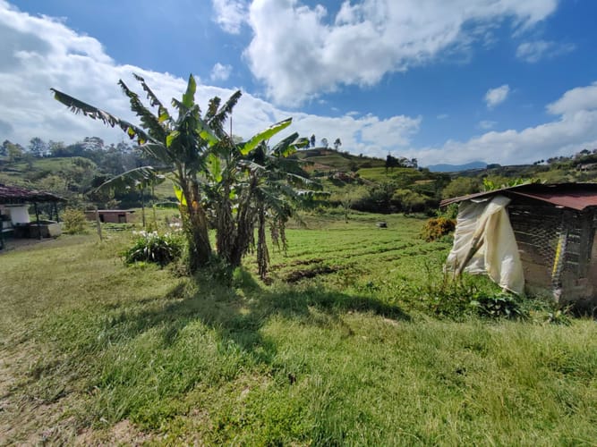 Finca en venta en Rivera, El Carmen de Viboral, 38000 m² · foto 11 de 16