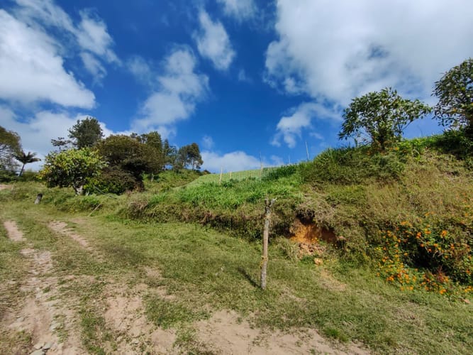 Finca en venta en Rivera, El Carmen de Viboral, 38000 m² · foto 12 de 16