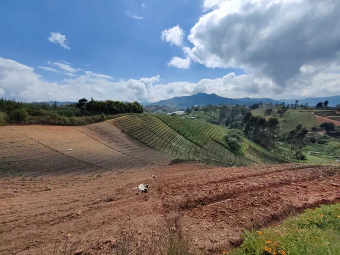 Finca en venta en Rivera, El Carmen de Viboral, 38000 m² · foto 13 de 16