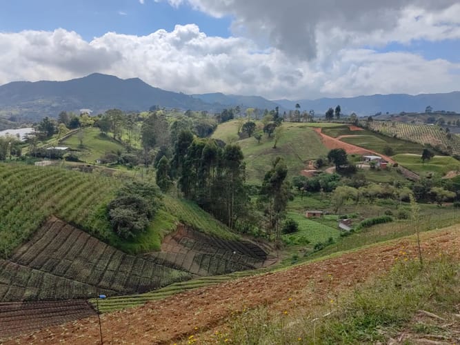 Finca en venta en Rivera, El Carmen de Viboral, 38000 m² · foto 14 de 16