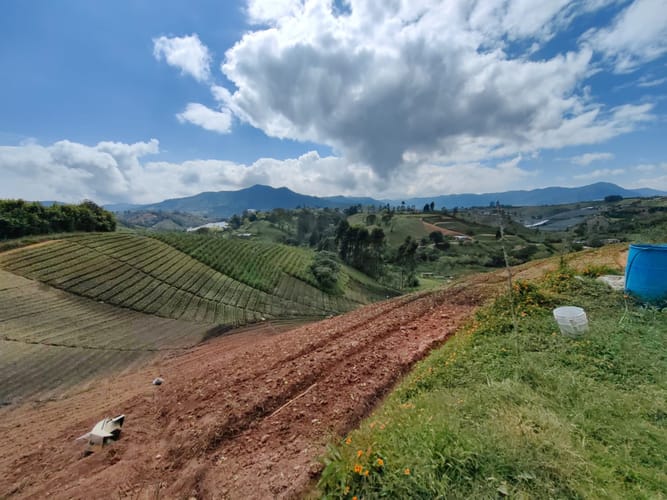 Finca en venta en Rivera, El Carmen de Viboral, 38000 m² · foto 15 de 16