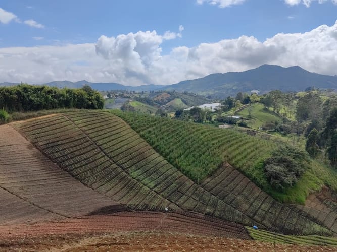 Finca en venta en Rivera, El Carmen de Viboral, 38000 m² · foto 16 de 16