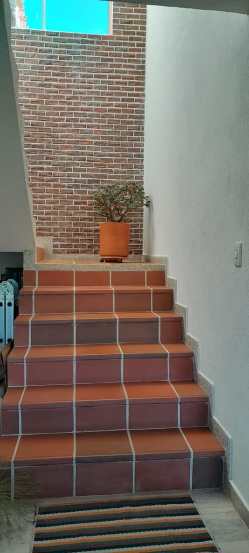 Finca en venta en El Carmen De Viboral, El Carmen de Viboral, 250 m² · foto 6 de 23
