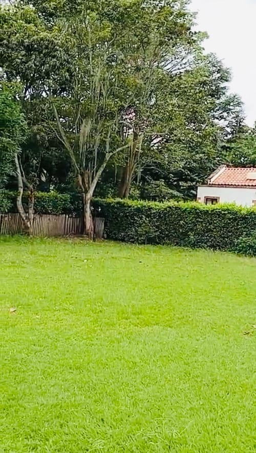 Lote en venta en Mensuly, Piedecuesta, 730 m² · foto 4 de 5