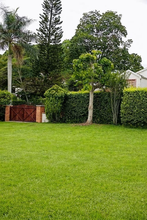Lote en venta en Mensuly, Piedecuesta, 730 m² · foto 5 de 5