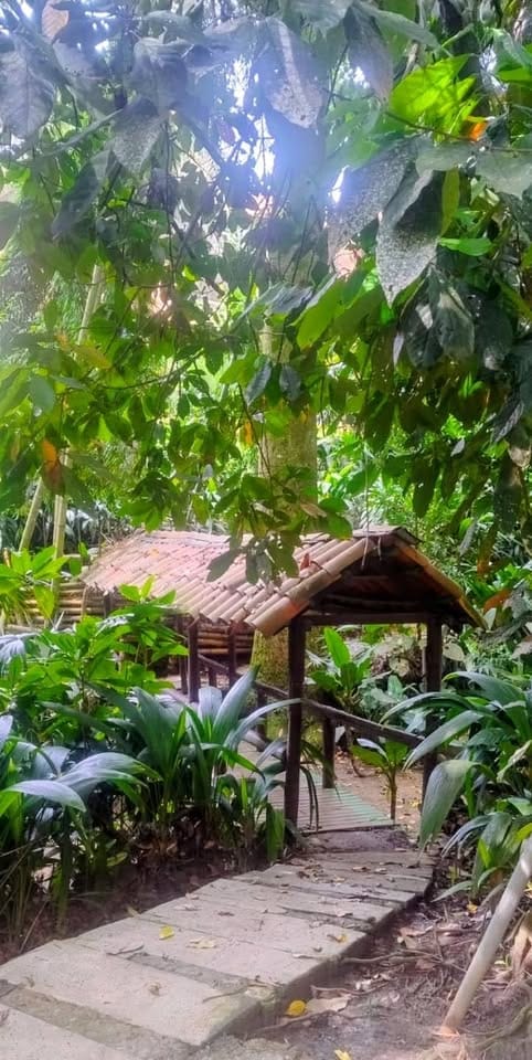 Apartaestudio en venta en Plazas Del Bosque, Ibagué, 47 m² · foto 8 de 9