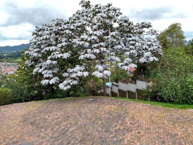 Casa de 5 alcobas en venta en Santa Maria De Suba, Bogotá · foto 2 de 15