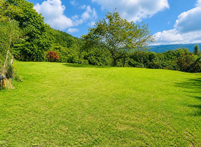 Lote en venta en Mensuly, Piedecuesta, 2080 m² · foto 4 de 12