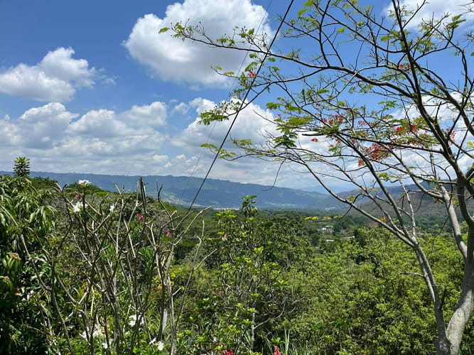 Lote en venta en Mensuly, Piedecuesta, 2080 m² · foto 8 de 12
