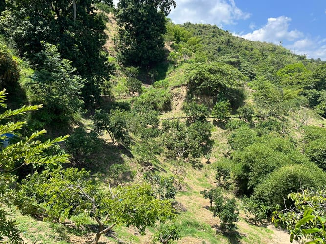 Lote en venta en Mensuly, Piedecuesta, 2080 m² · foto 10 de 12