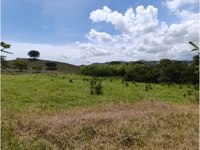 Lote en venta en Tequendama, Cali, 1000 m² · foto 6 de 8