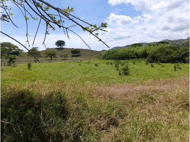 Lote en venta en Tequendama, Cali, 1000 m² · foto 8 de 8