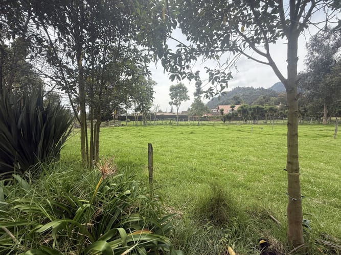 Lote en venta en Fonquetá, Chía, 626 m² · foto 13 de 19