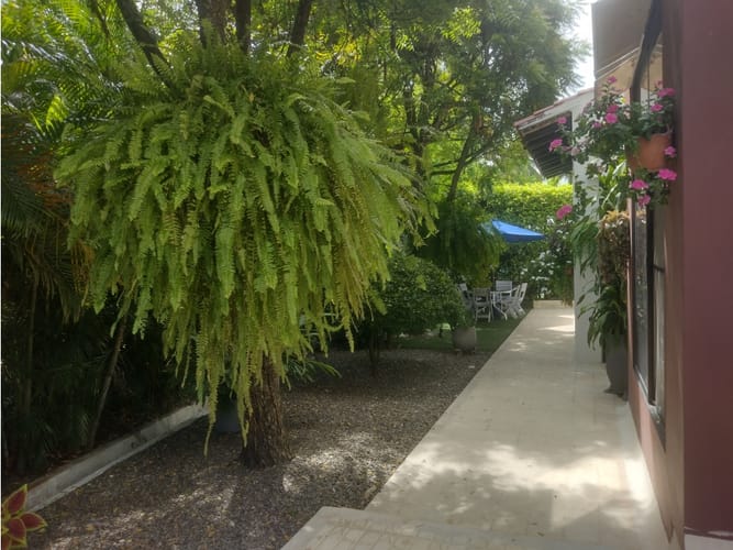 Casa de 4 alcobas en venta en Girardot, Girardot, 340 m² · foto 10 de 21