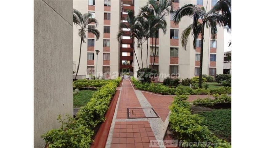 Apartamento de 3 alcobas en arriendo en Quintas De Don Simon, Cali, 70 m² · foto 14 de 19
