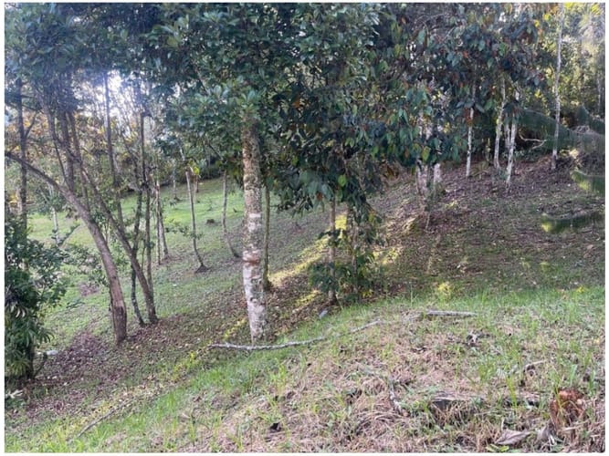 Lote en venta en Santa Elena, El Retiro, 2054 m² · foto 4 de 5
