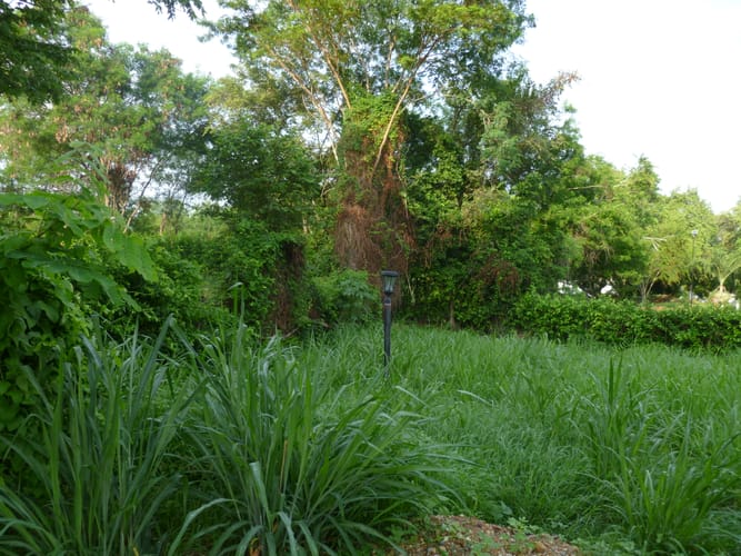 Lote en venta en El Paso, Ricaurte, 519 m² · foto 7 de 16