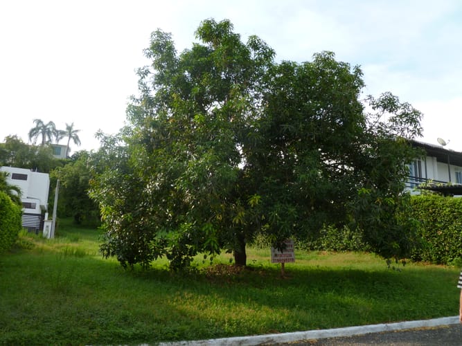 Lote en venta en El Paso, Ricaurte, 519 m² · foto 10 de 16