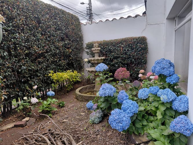Casa de 3 alcobas en arriendo en Pasadena, Bogotá, 325 m² · foto 17 de 19