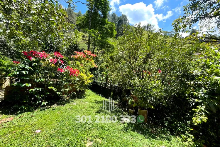 Casa de 3 alcobas en arriendo en Las Lomitas, Sabaneta, 250 m² · foto 8 de 24